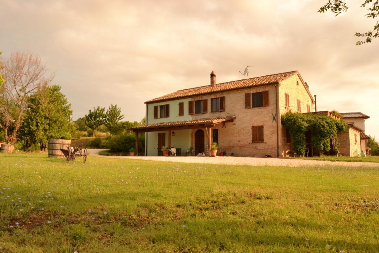 B&B Le Tamerici San Giorgio di Pesaro Bagian luar foto